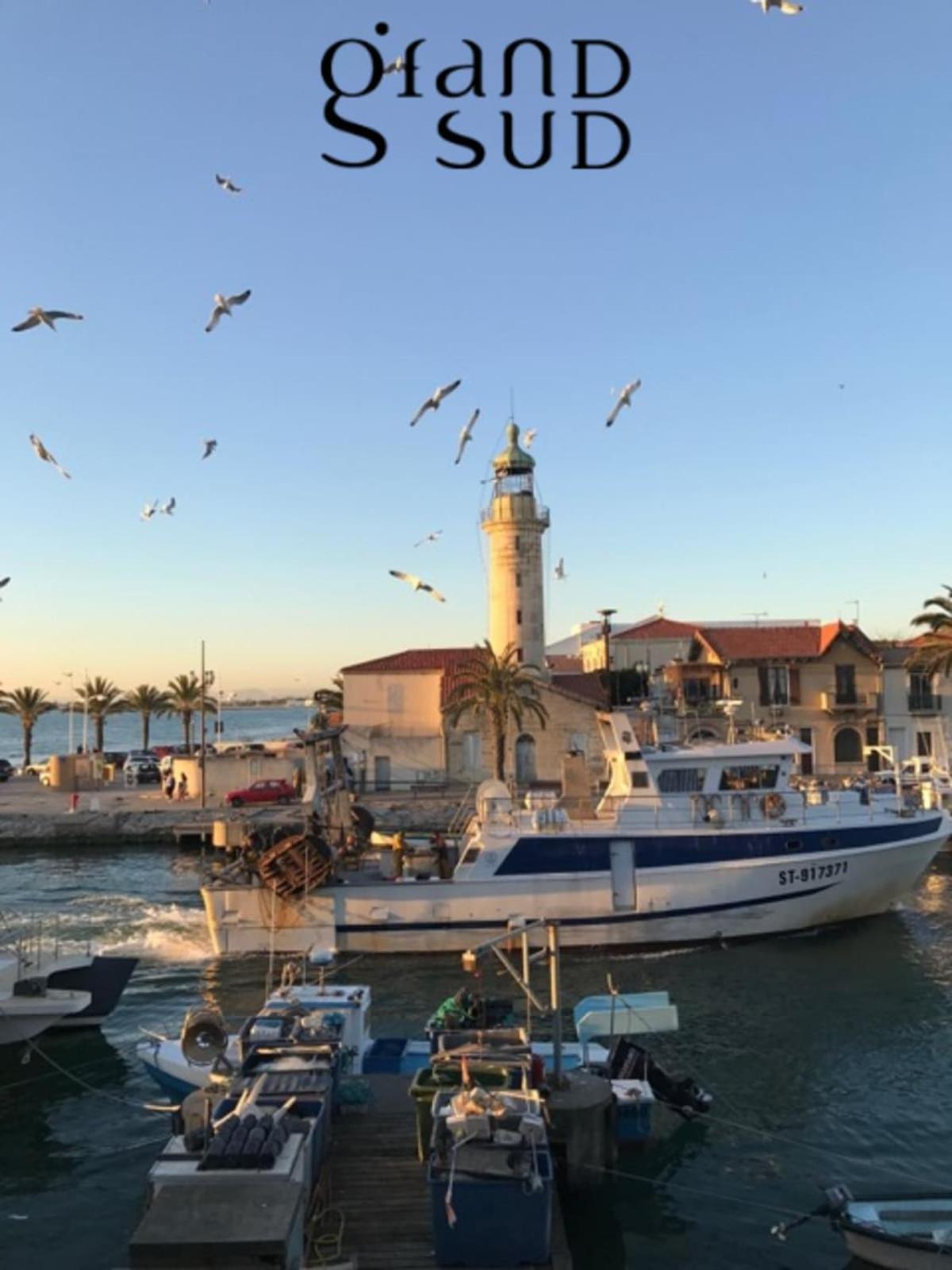 Le Soleil Couchant Studio Vue Mer Le Grau-du-Roi Dış mekan fotoğraf